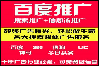案例解读：网络推广与竞价策略